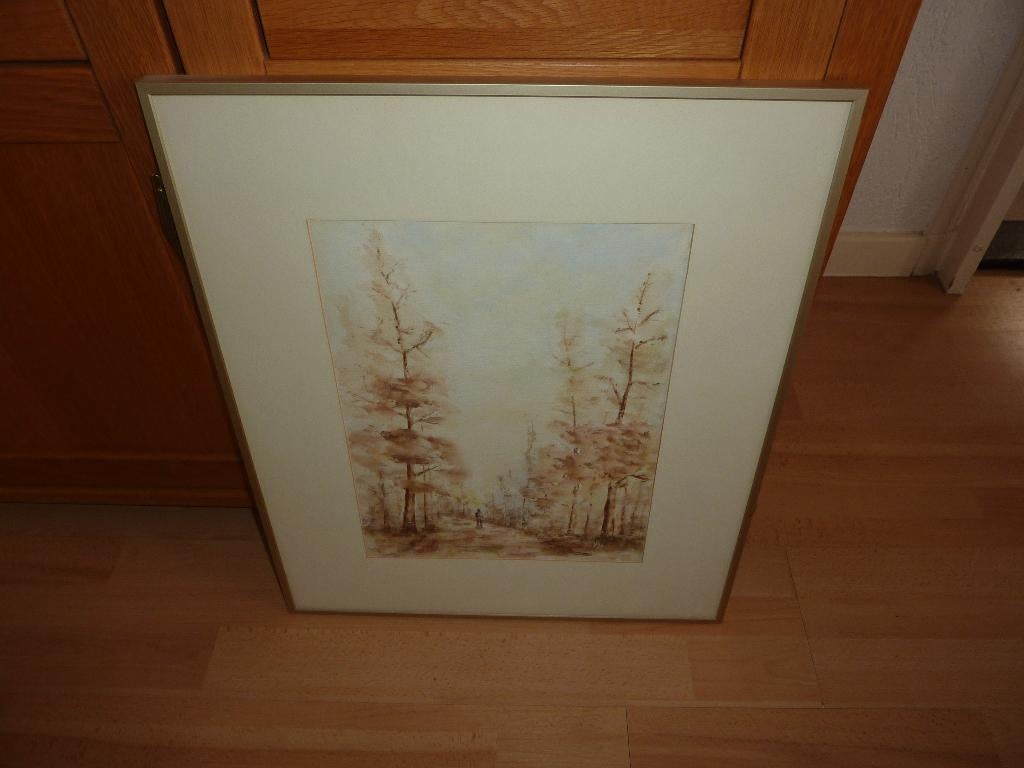 schilderij aquarel in lijst gesigneerd, 50 tot 75 cm, Ophalen of Verzenden, Zo goed als nieuw, Schilderij