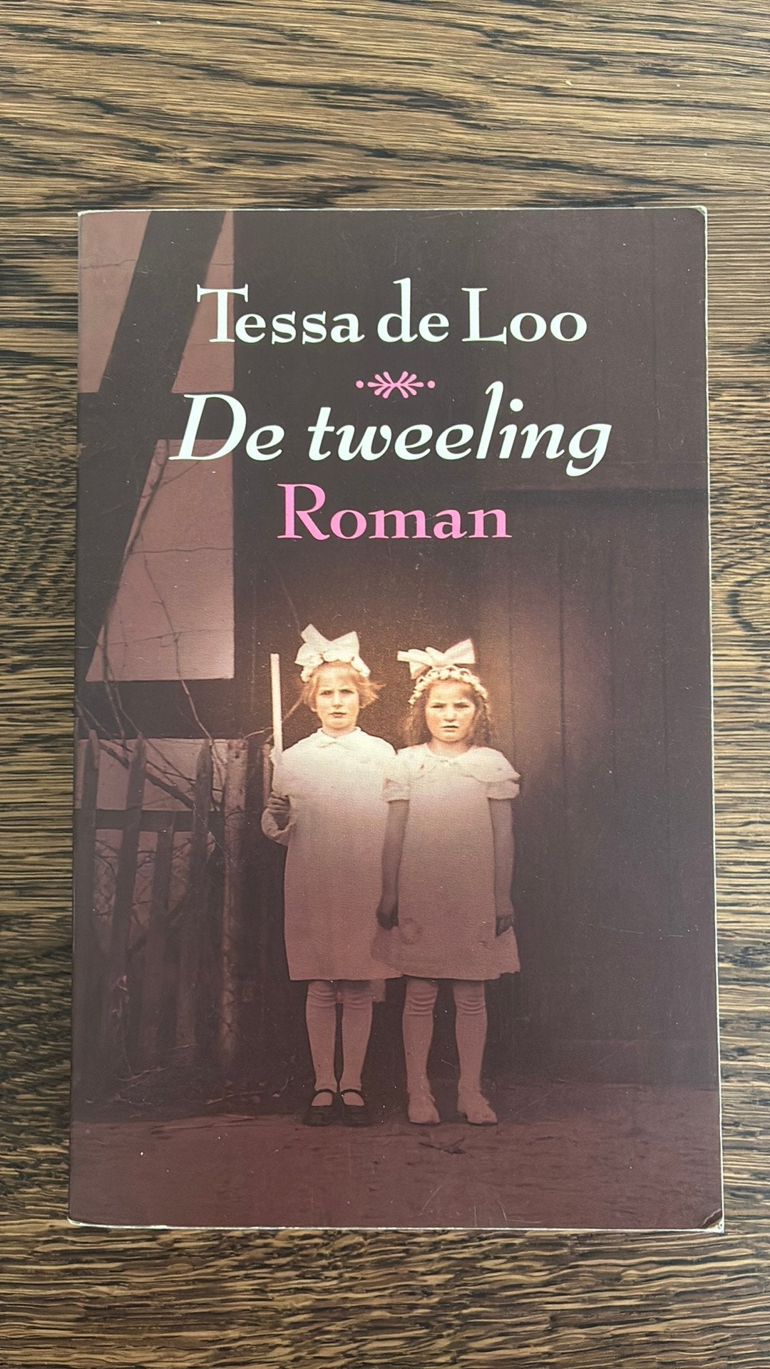 Tessa de Loo - De tweeling, Ophalen of Verzenden, Zo goed als nieuw, Tessa de Loo