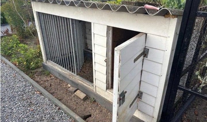 Stevig(e) Hondenkennel/kippenhok liefst vandaag ophalen, Ophalen