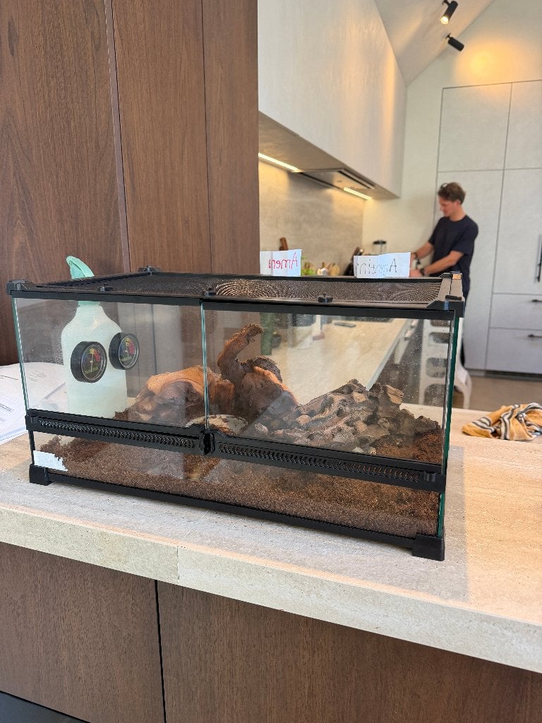 Zo goed als nieuw glazen terrarium / vivarium, Dieren en Toebehoren, Ophalen, Zo goed als nieuw, Terrarium of Paludarium
