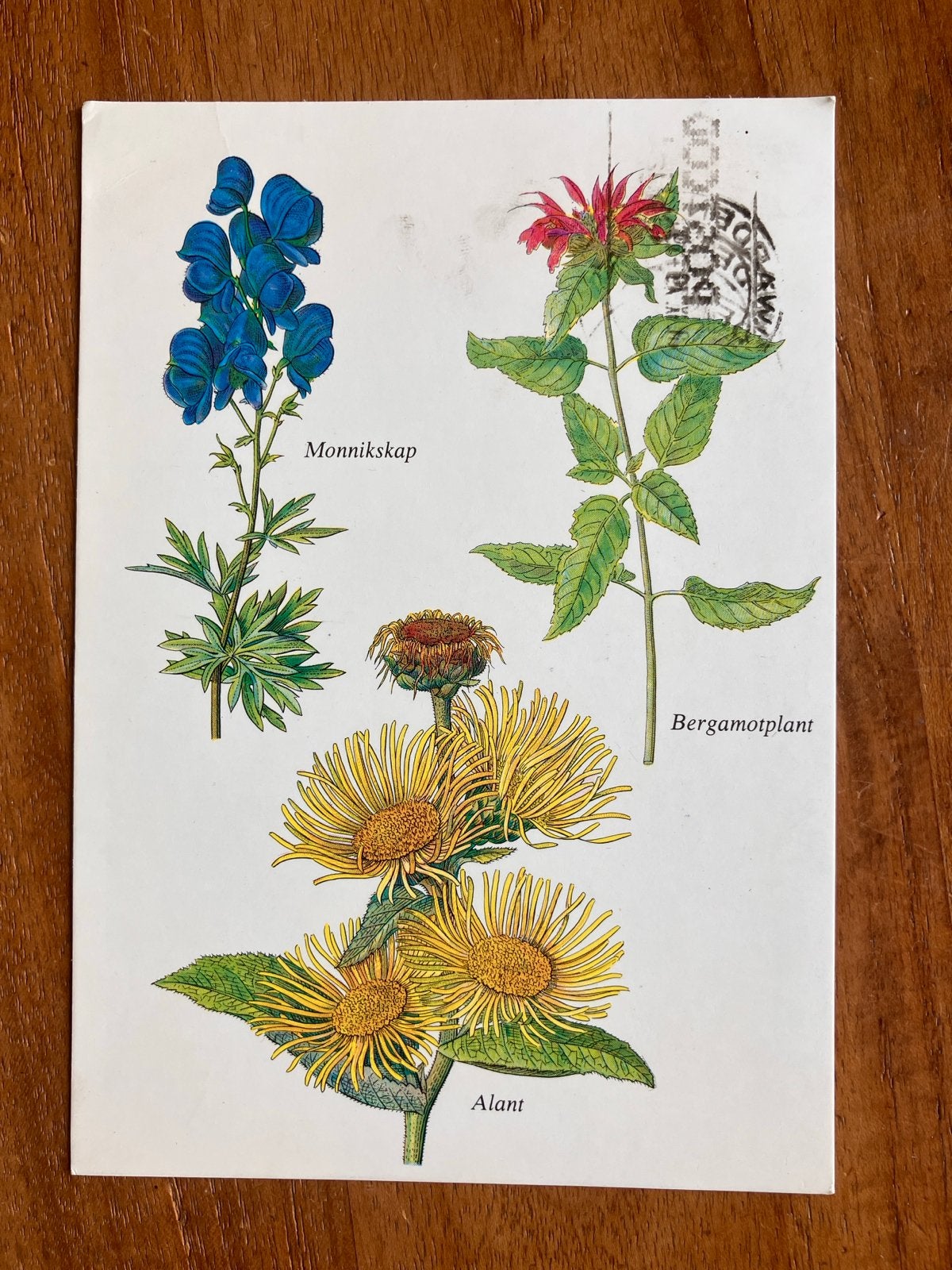 botanische illustraties, Ophalen of Verzenden, 1960 tot 1980, Gelopen, Natuur