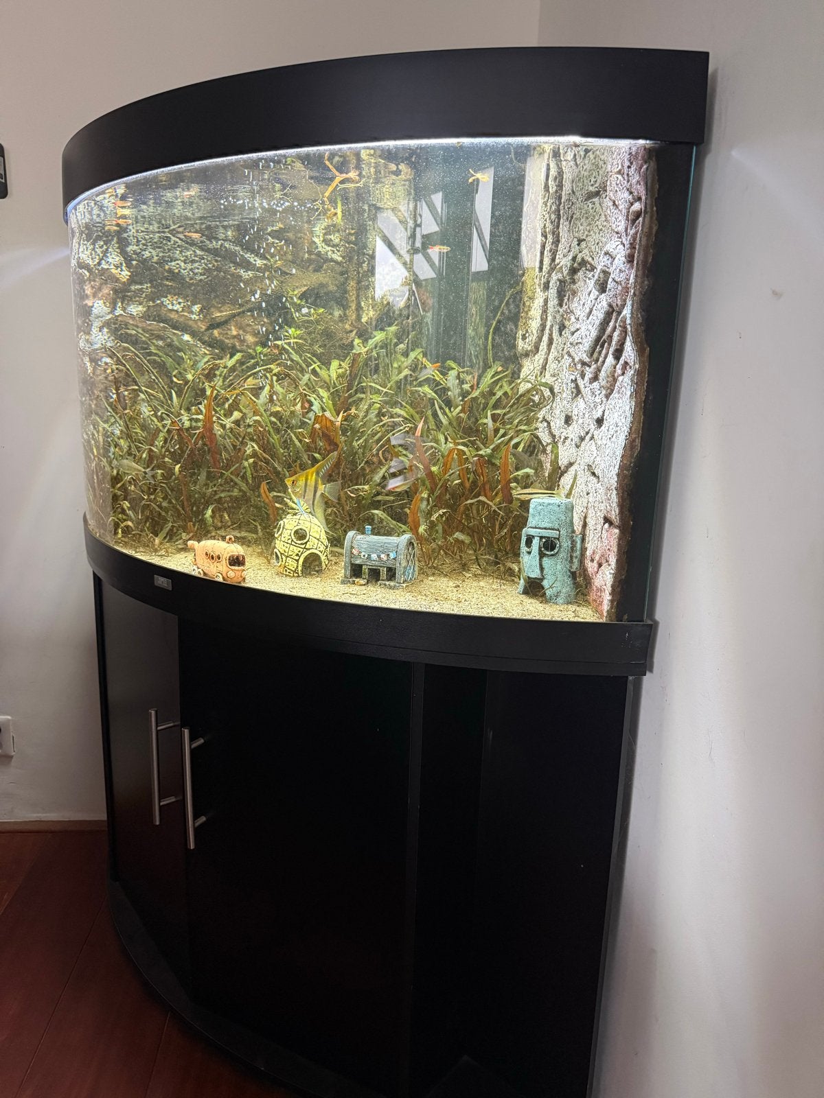Juwel Trigon 350 LED hoek aquarium, Ophalen, Pomp, Juwel, Gevuld zoetwateraquarium