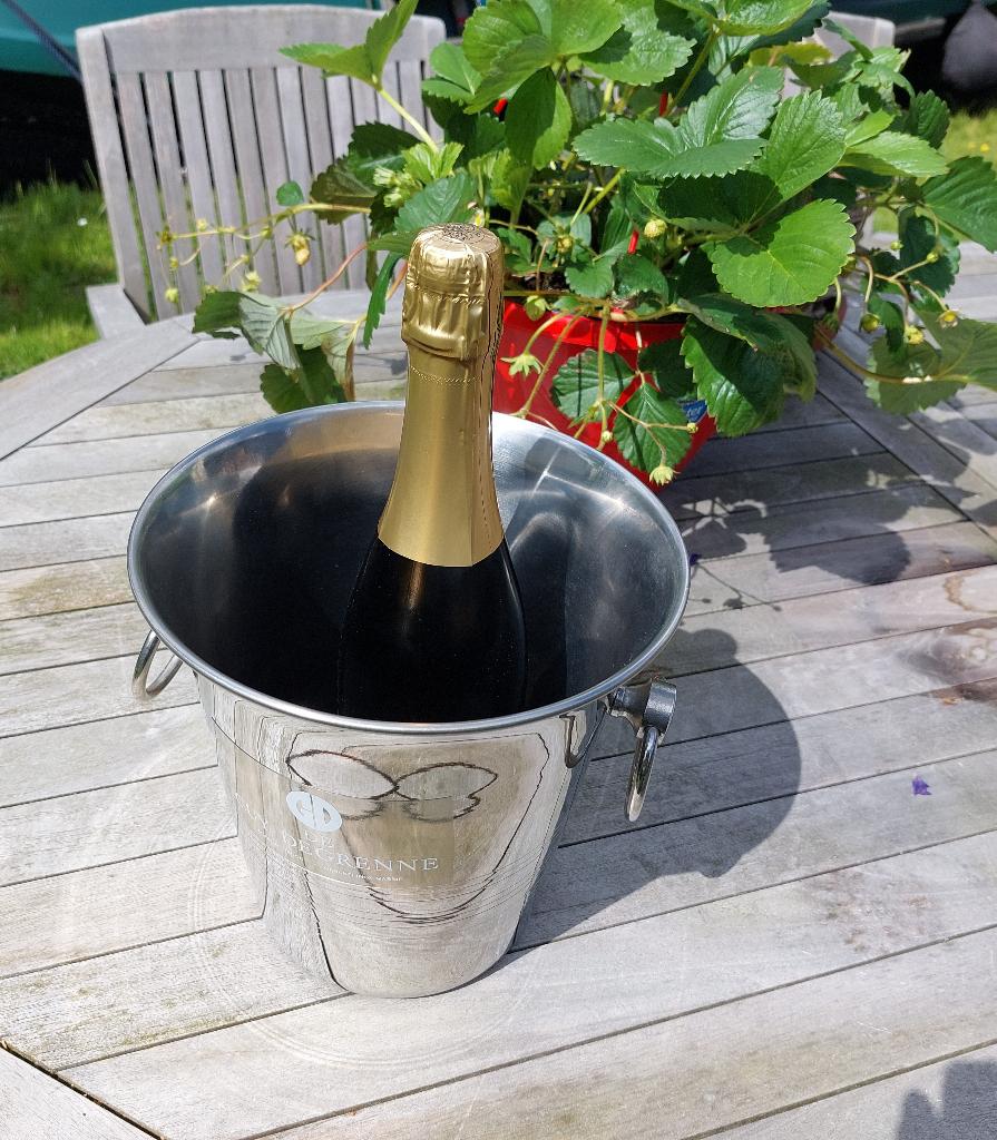 Guy Degrenne champagnekoeler / wijnkoeler, Overige typen, Ophalen of Verzenden, Zo goed als nieuw, Metaal
