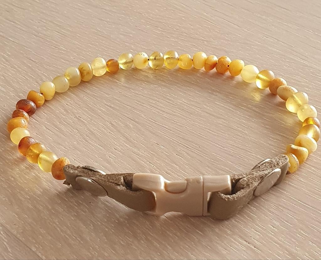 Honden halsband tegen teken, Ophalen of Verzenden, Zilver