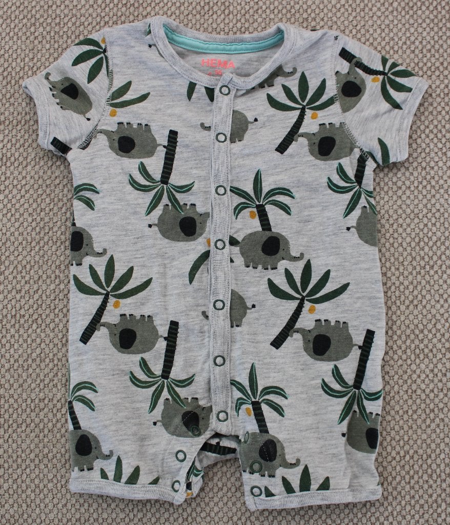 Zomerpakje van Hema 56, Kinderen en Baby's, Babykleding | Maat 56, Ophalen of Verzenden, Zo goed als nieuw, Hema, Pakje