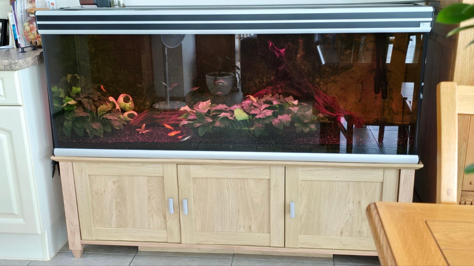 aquatlantis 370l aquarium 150bx45dx60h, Ophalen, Aquatlantis, Pomp, Gevuld zoetwateraquarium