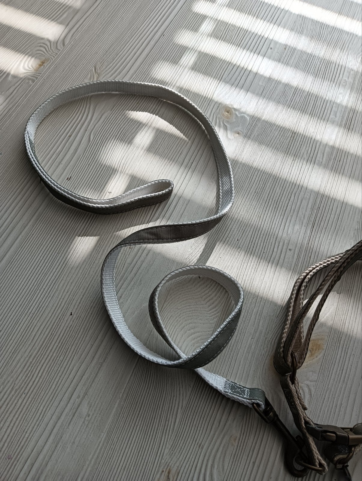 tuigje voor de hond0, Ophalen, Gebruikt, Hondenriem-accessoire