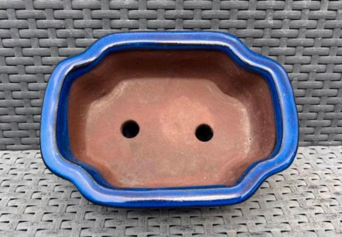 Bonsai schaal blauw geglazuurd aardewerk 20,6x15x7,2, Ophalen of Verzenden, Zo goed als nieuw, Overige vormen, Aardewerk