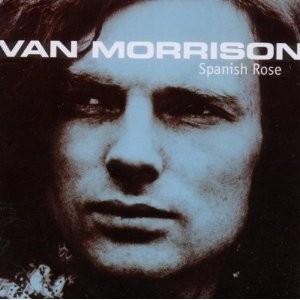 van Morrison, Cd's en Dvd's, Cd's | Rock, Gebruikt, Poprock, Ophalen of Verzenden