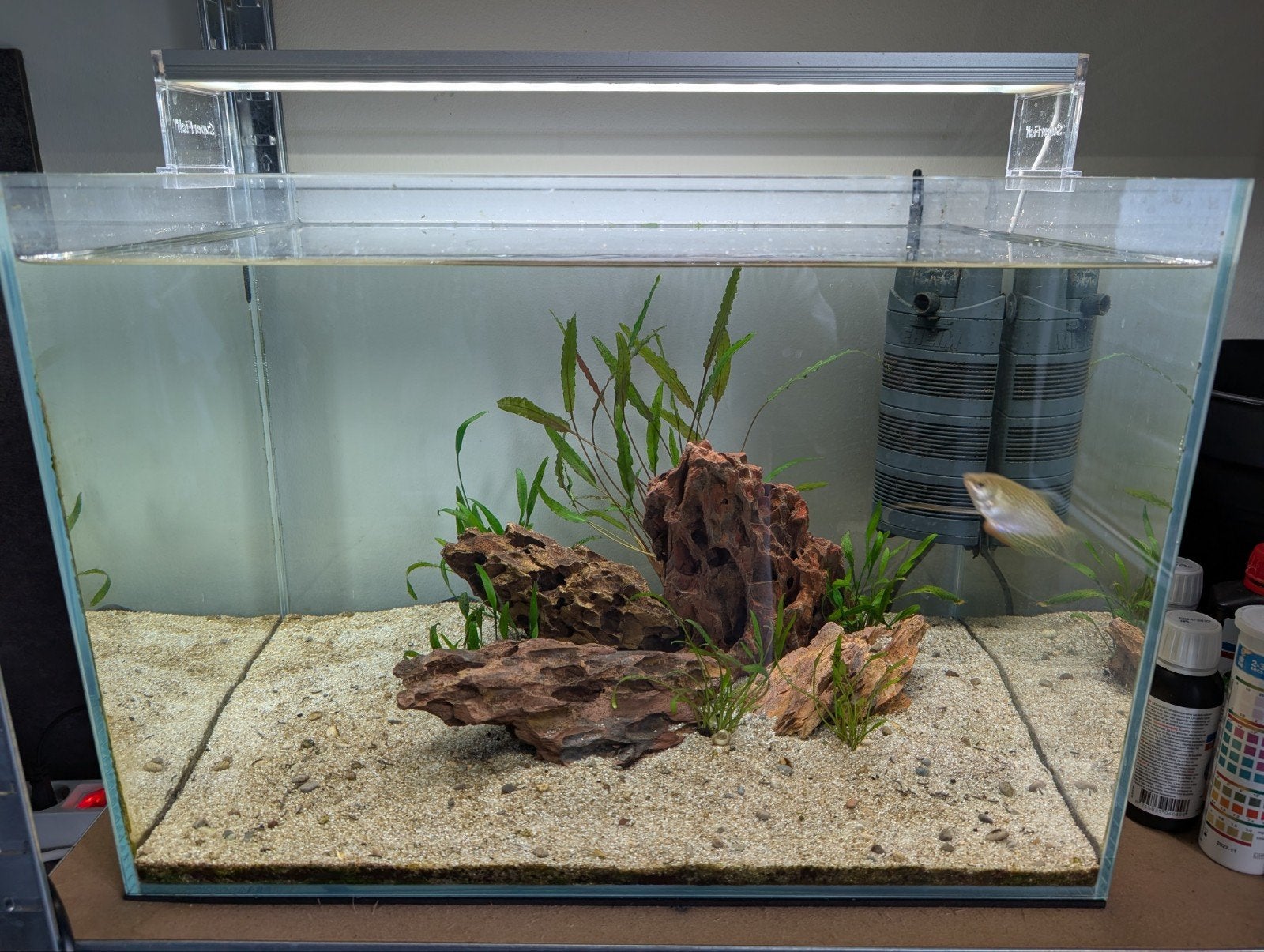 Scaper 60L aquarium met of zonder inhoud, Ophalen, Gebruikt, Gevuld zoetwateraquarium, Inclusief vissen