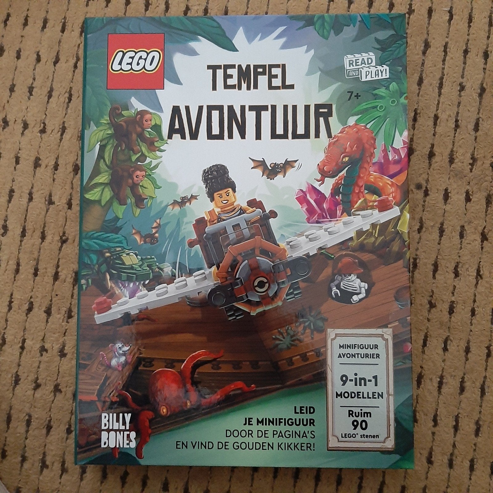 LEGO Tempel Avontuur Boek, Ophalen of Verzenden