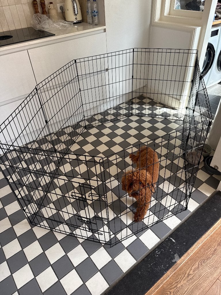 Puppy ren, Ophalen, Zo goed als nieuw