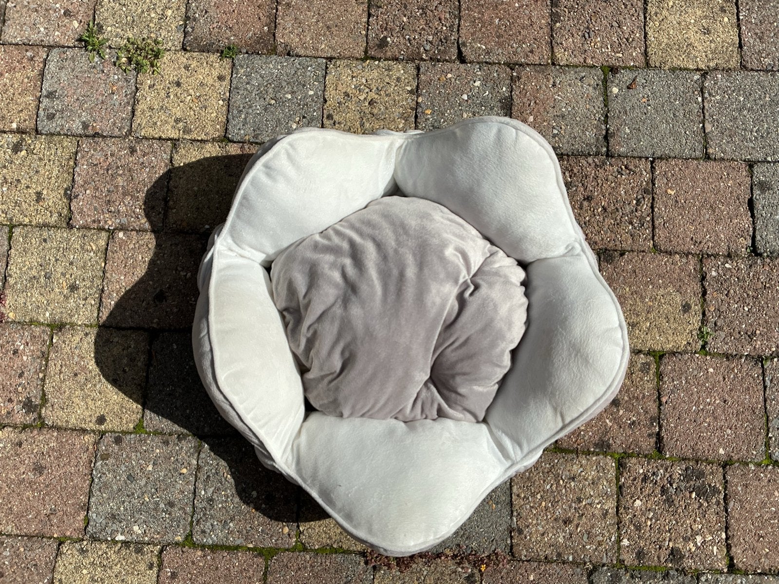 Hondenmandje hondenmand puppy mand, Dieren en Toebehoren, Ophalen of Verzenden, Zo goed als nieuw, Pluche