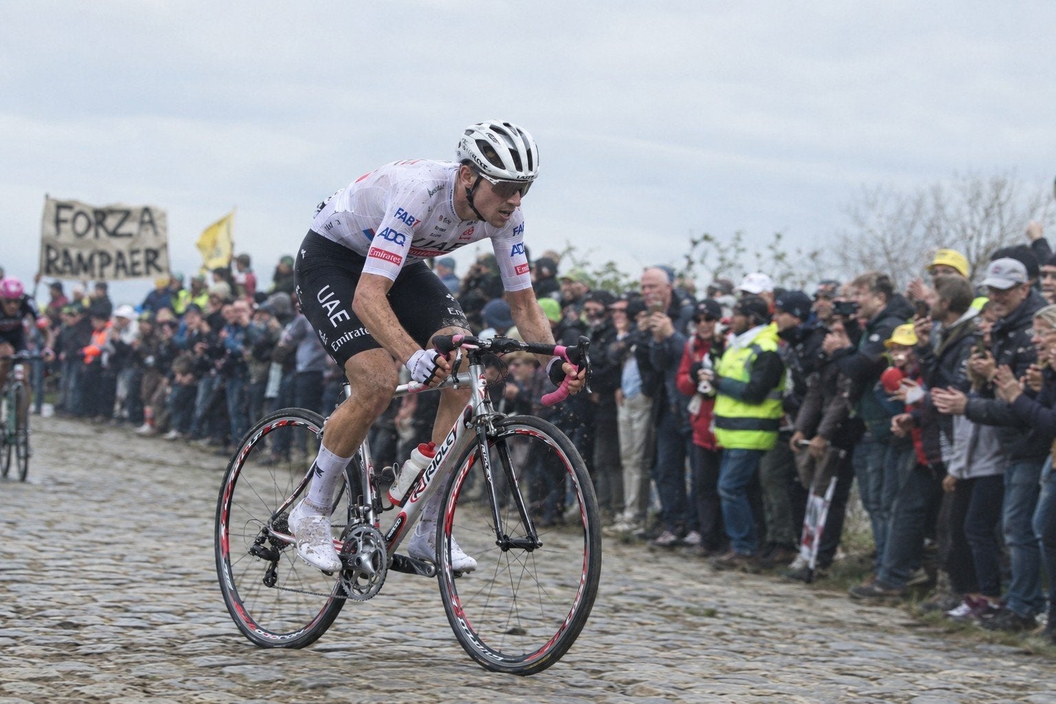 Ridley Noah Fast Alpecin-Deceuninck Editie (Maat 55) – WK, Carbon, Meer dan 20 versnellingen, 53 tot 57 cm, Ophalen