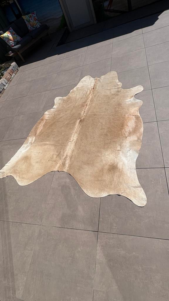 Nieuwe koeienhuid - ophalen €100, Beige, 150 tot 200 cm, Ophalen of Verzenden, Overige vormen
