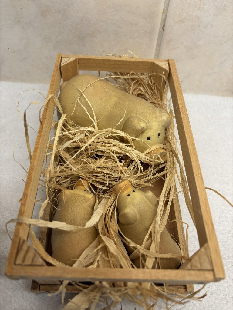 Houten Krat(je) Varkens, Ophalen of Verzenden