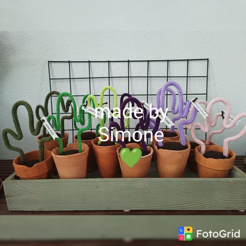 CACTUS geheel onderhoudsvrij. Kado cadeau leuk origineel 🌵, Huis en Inrichting, Woonaccessoires | Kunstplanten en Kunstbloemen