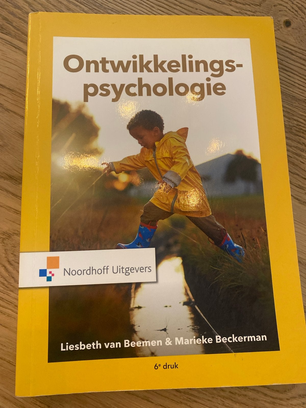Ontwikkelingspsychologie - 6e druk 2018, Ophalen of Verzenden, Gamma, Gelezen, HBO