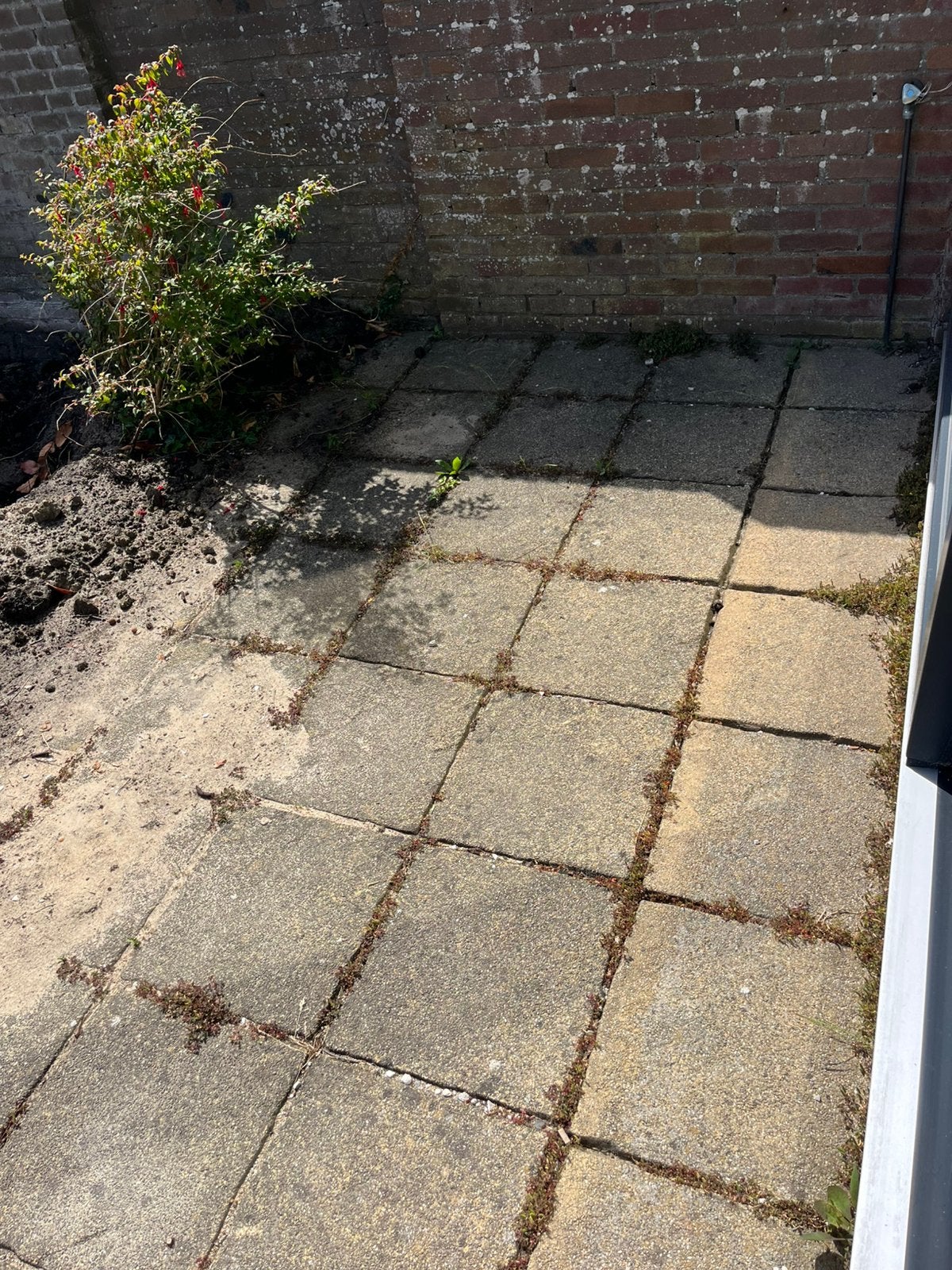 Gratis tuintegels 40x40x4,5cm, ongeveer 20m2, Tuin en Terras, Tegels en Klinkers, Ophalen, Zo goed als nieuw, Beton, Terrastegels