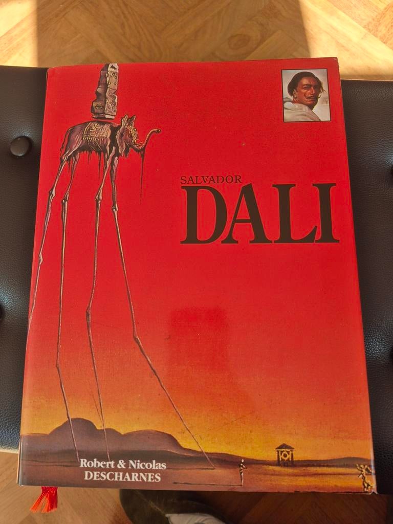 Kunstboek Salvador Dali, Ophalen of Verzenden