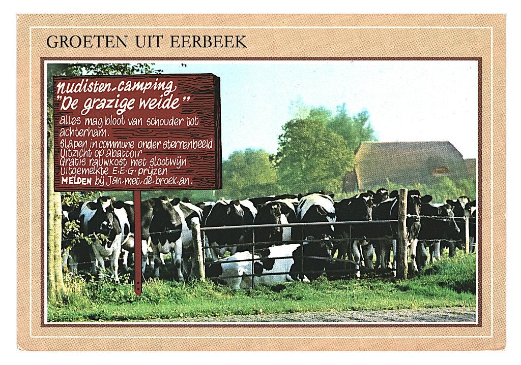 37011 Eerbeek koe 80+ Gld Gelopen met postzegel, Ophalen of Verzenden, 1980 tot heden, Gelopen, Gelderland