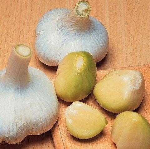 Biologische oerprei alium knoflook, Verzenden