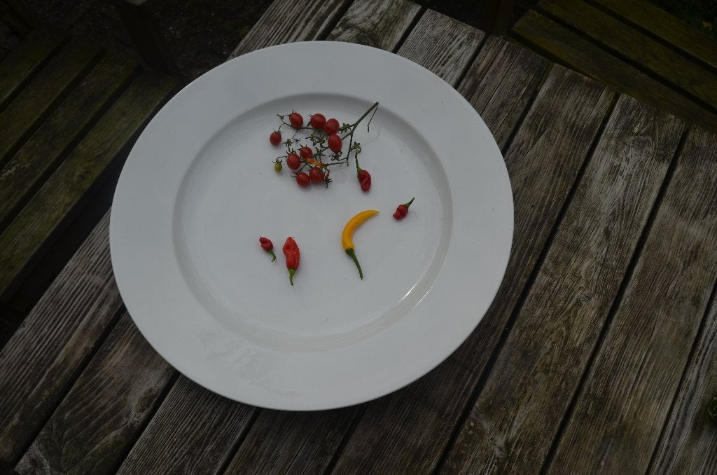 Schitterende witte aardewerk schaal / schotel ipst, Ophalen of Verzenden