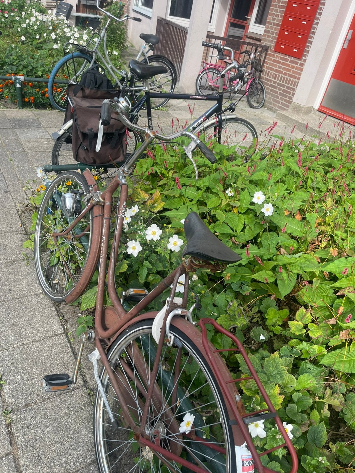Dames fiets, Ophalen of Verzenden