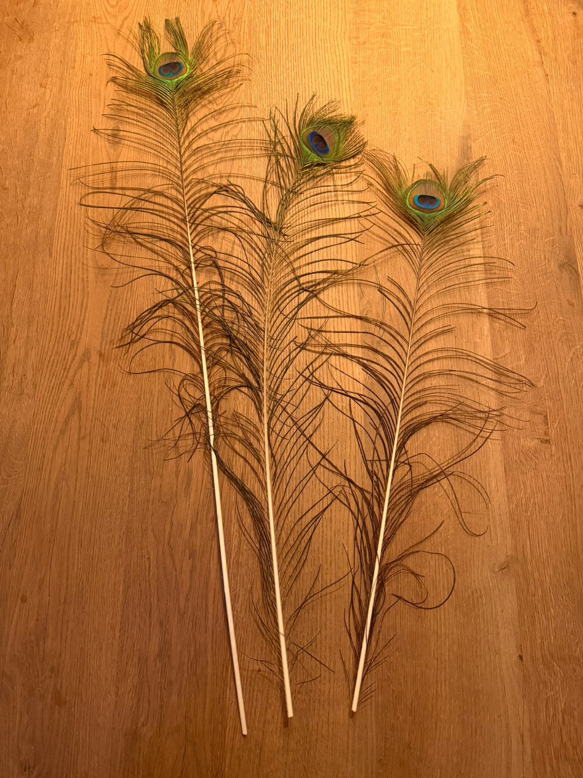 Pauwen veren 3x, Huis en Inrichting, Woonaccessoires | Kunstplanten en Kunstbloemen, Ophalen, Binnen, Overige materialen, Meerkleurig