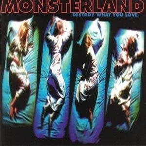 cd van Monsterland ‎– Destroy What You Love, Verzenden, Zo goed als nieuw