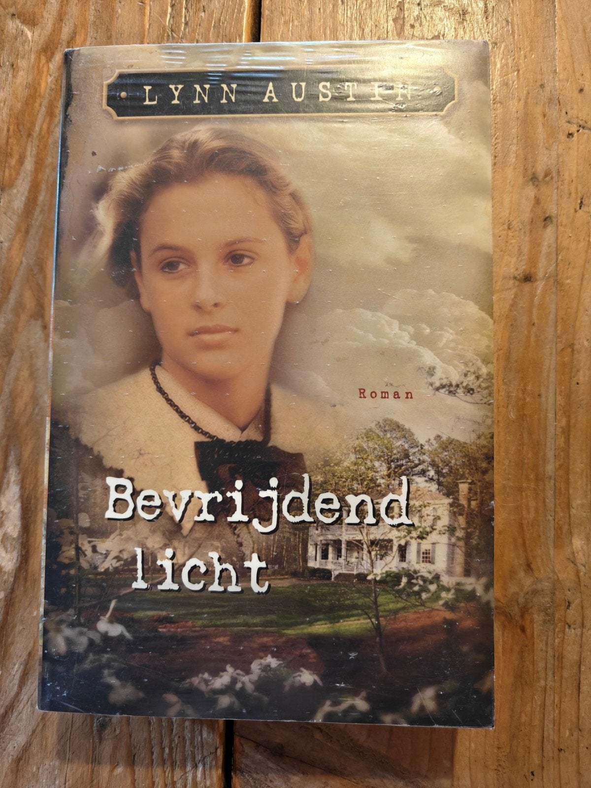 Bevrijdend licht.  NIEUW., Ophalen of Verzenden, Nieuw