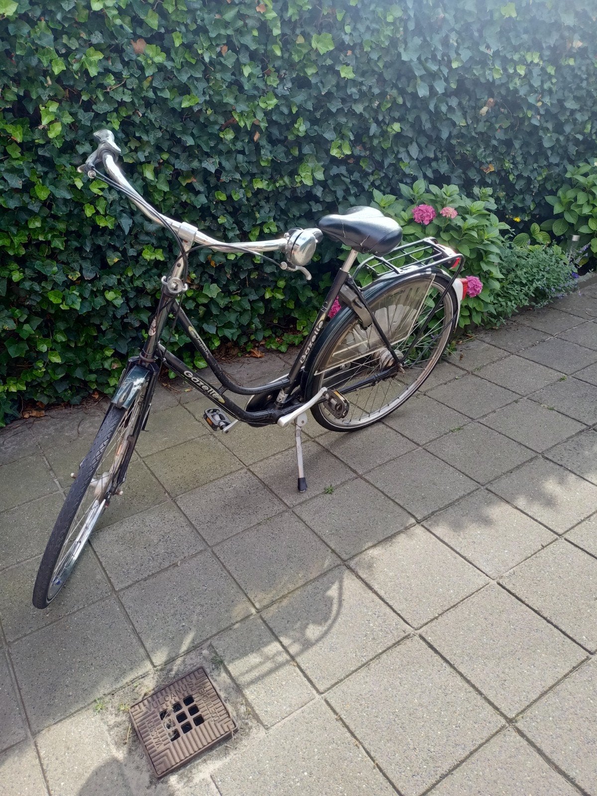 Gazelle impala met 7 versnellingen, Ophalen, Gebruikt, Gazelle, Versnellingen