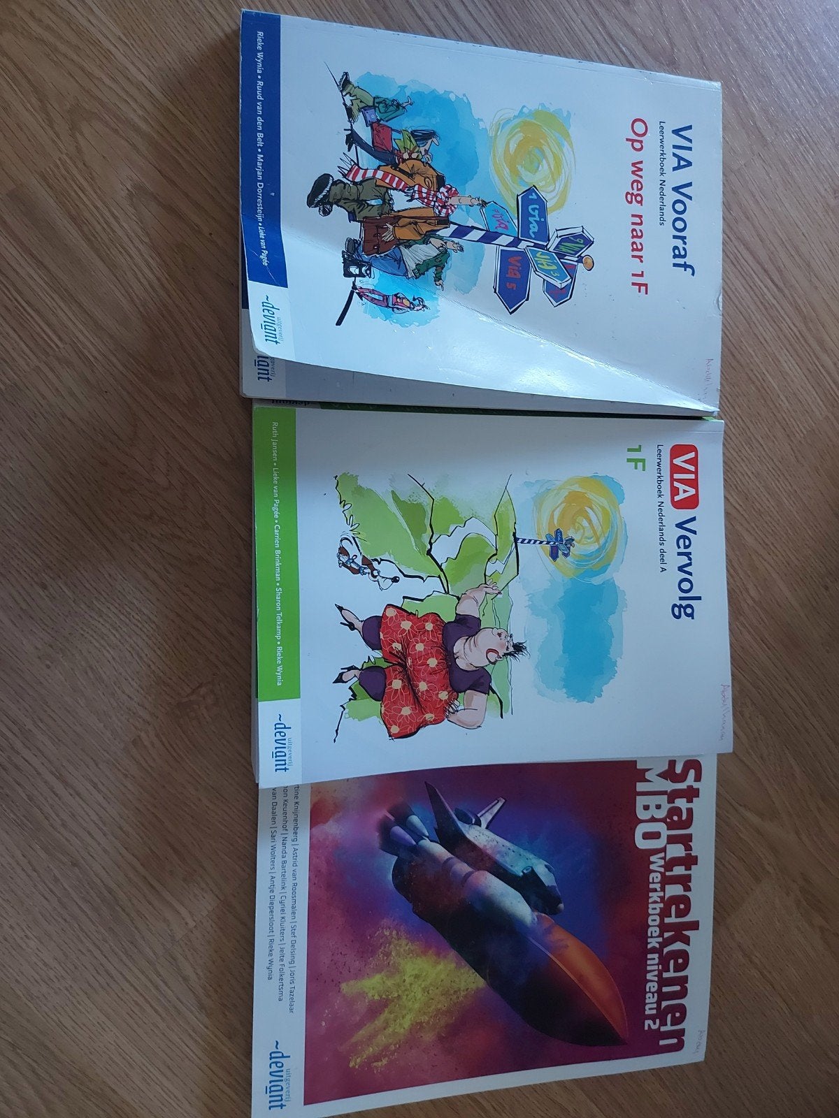Startrekenen MBO werkboek niveau 2, op weg naar 1F, 1F, Boeken, Schoolboeken, Ophalen, Zo goed als nieuw, Overige niveaus