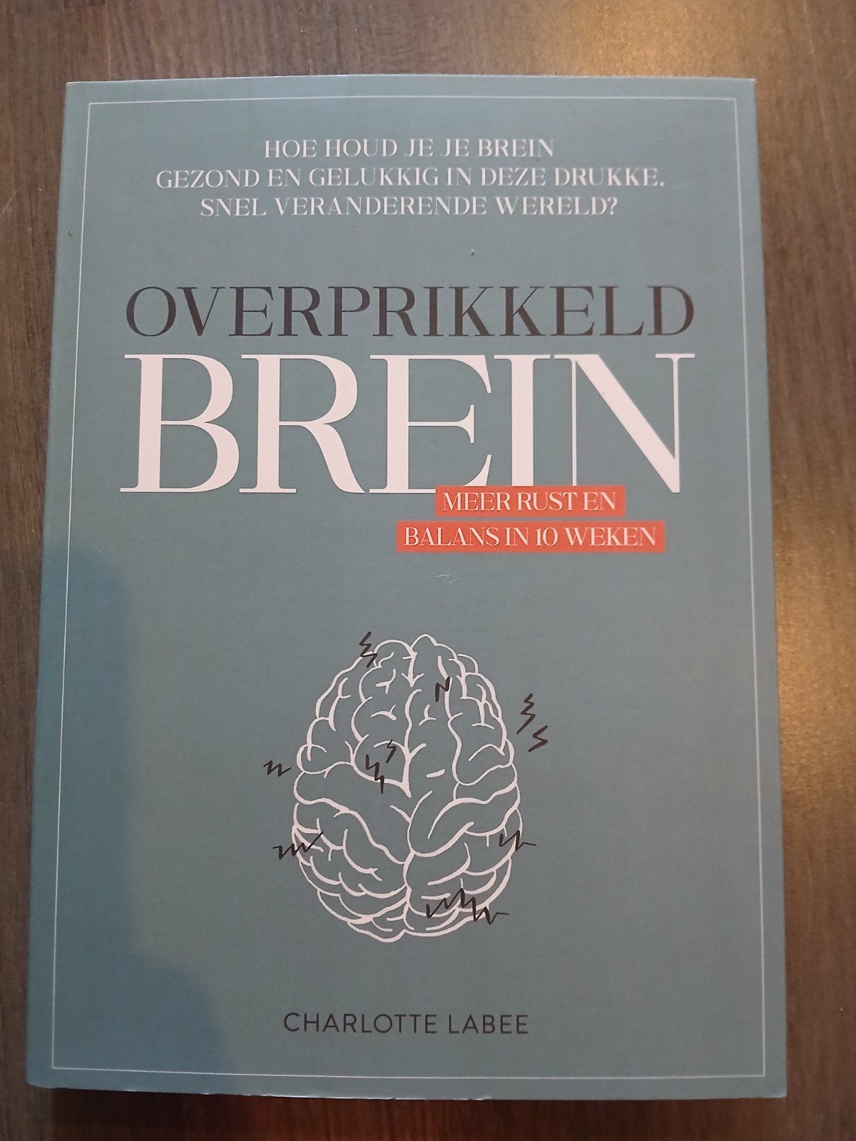 Charlotte Labee - Overprikkeld brein, Ophalen of Verzenden, Zo goed als nieuw, Charlotte Labee