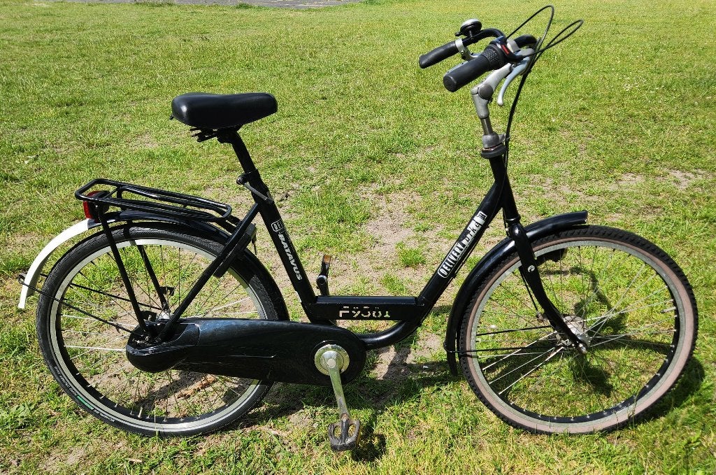 Mooie Batavus Delivery Bike damesfiets 3V; 1,65-1,85m, Ophalen, Batavus, Versnellingen, Trommelrem