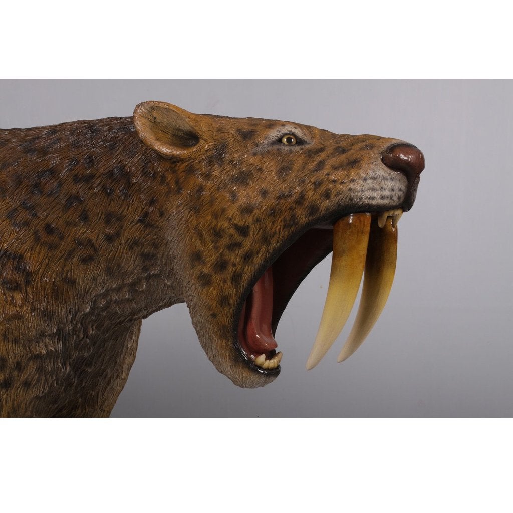 Smilodon Saber Cat - Sabeltandtijger beeld - 175 cm, Verzamelen, Ophalen, Nieuw, Overige typen