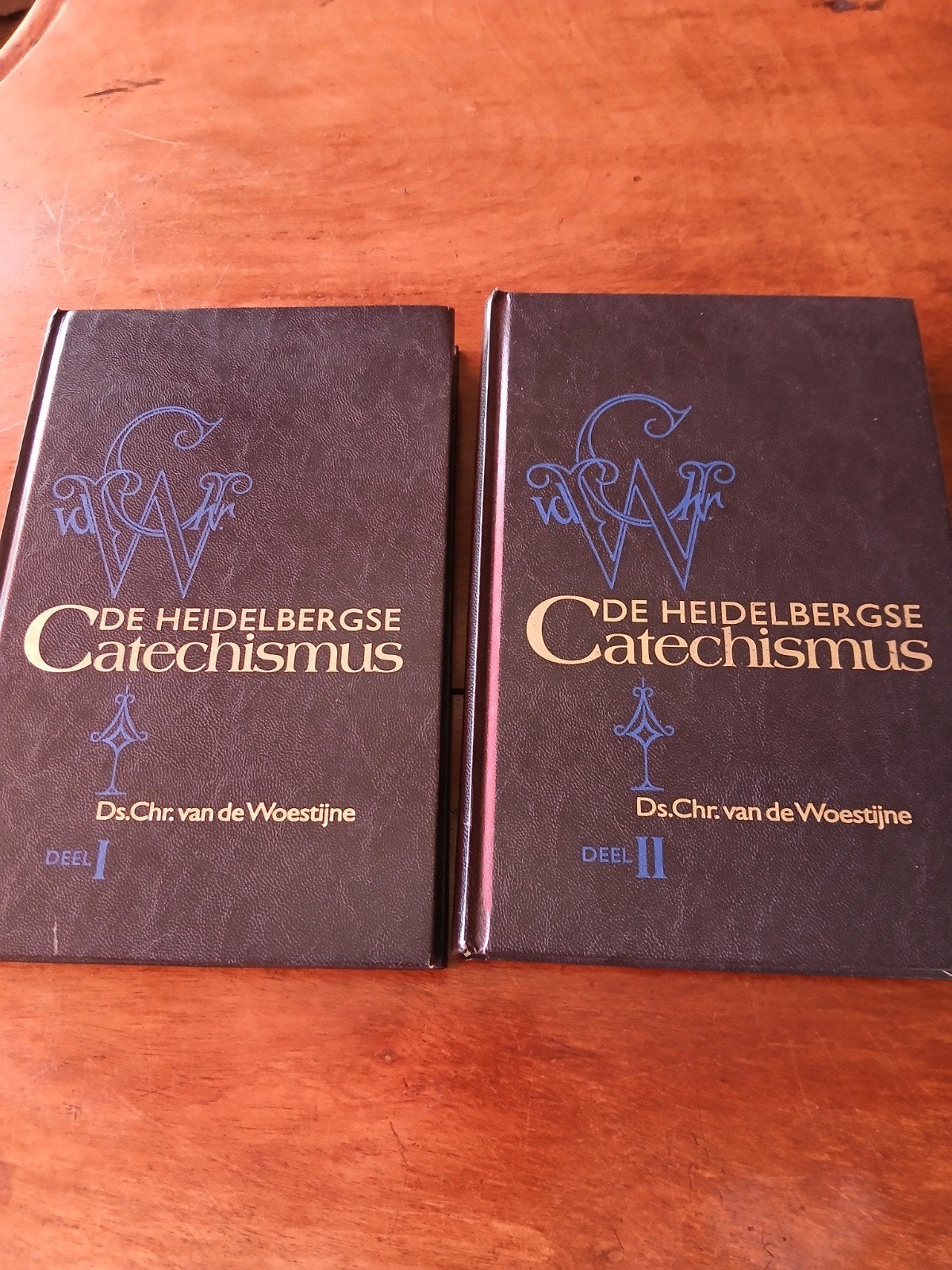 WD015 Heidelbergse Catechismus - Ds. Chr. van de Woestijne, Ophalen of Verzenden, Gelezen, Ds. Chr. van de Woestijne, Christendom | Protestants