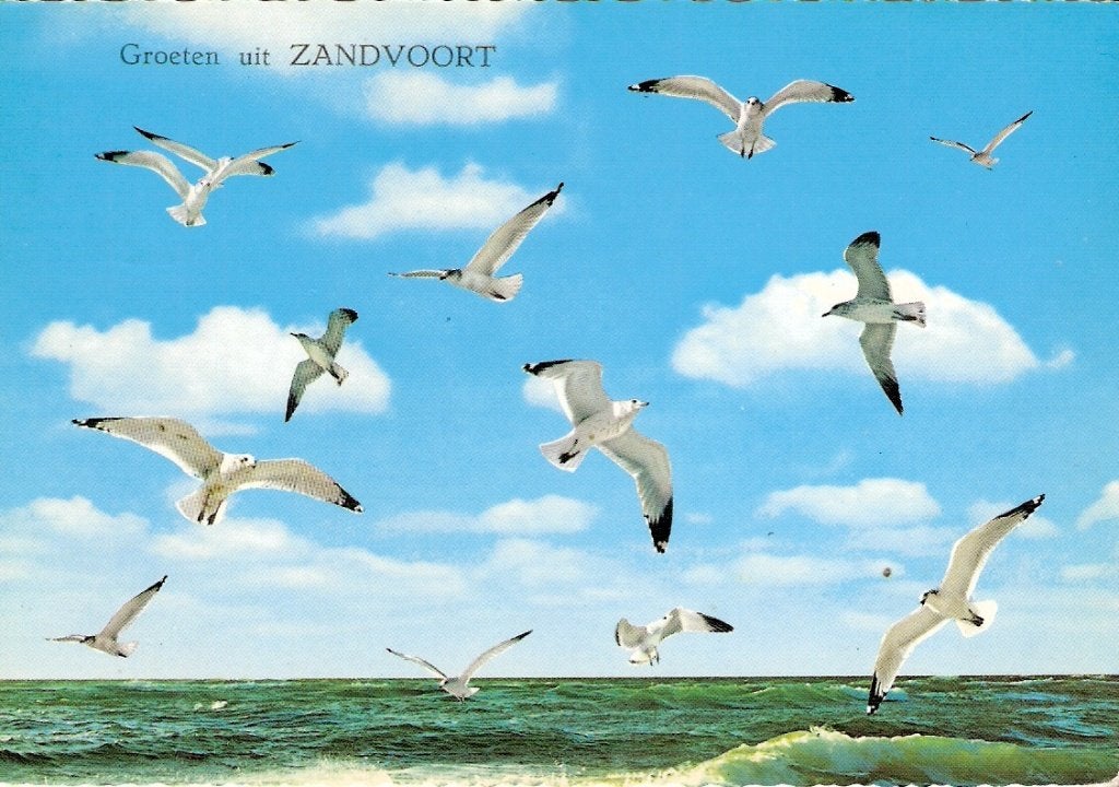 Zandvoort                600, Ophalen of Verzenden, Voor 1920, Noord-Holland