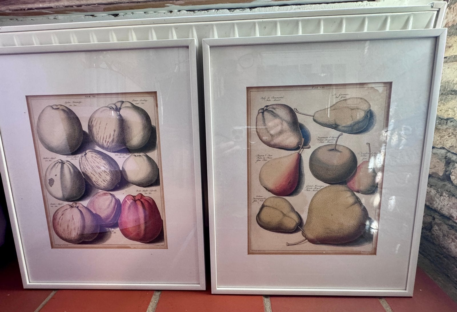 Twee antieke gravures JH Knoop pomologie, Antiek en Kunst, Handgekleurd, 44 cm, Ophalen of Verzenden, Gravure