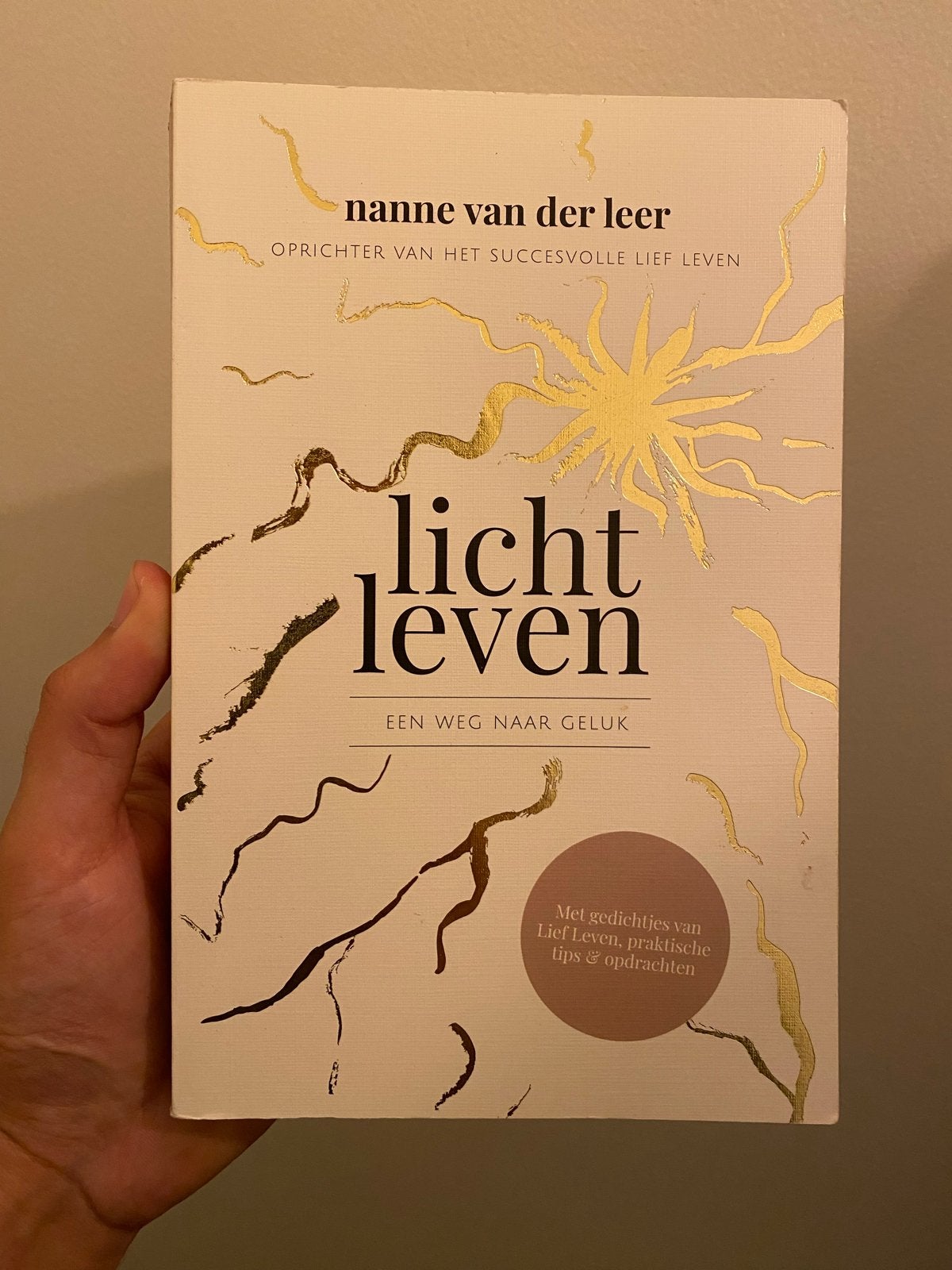 Licht Leven - Nanne van der Leer (zelfhulpboek), Ophalen of Verzenden, Zo goed als nieuw