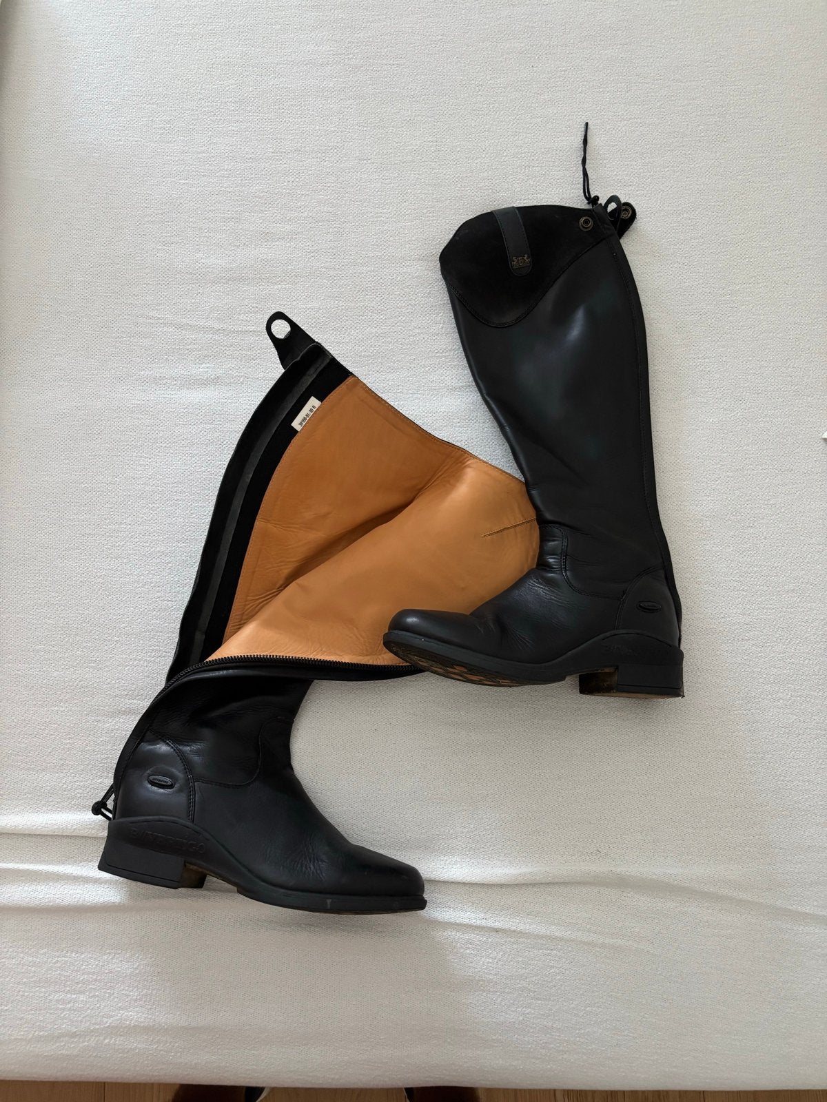 Paardrijd uitrusting: complete set, Ophalen, Dressuur