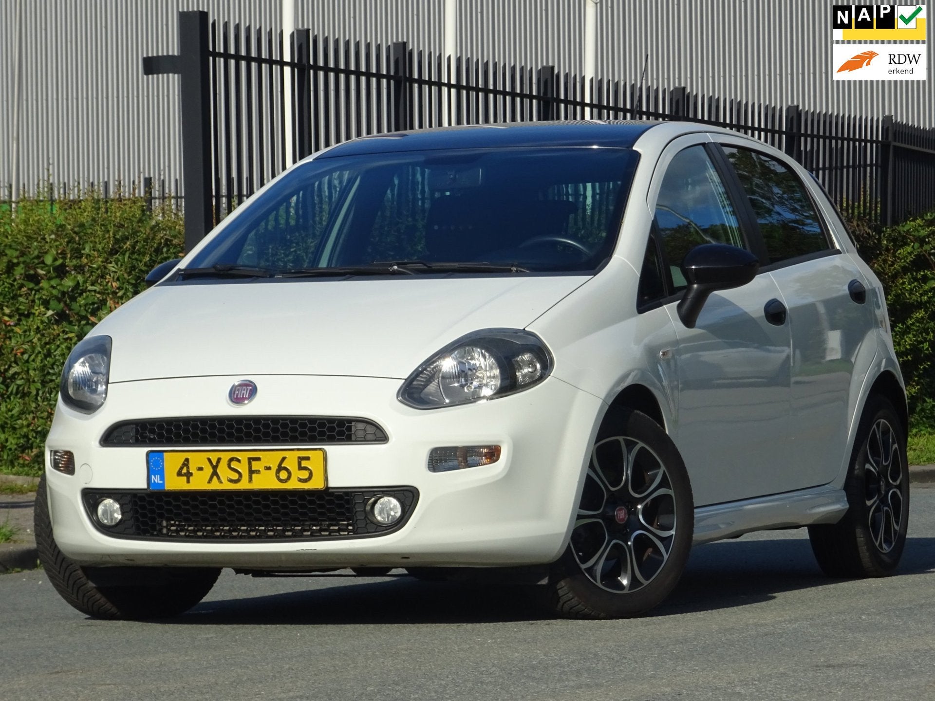 Fiat Punto Evo 0.9 TwinAir Racing 5DRS NAP/ANDROID/AC/CRUISE, Voorwielaandrijving, 101 pk, Gebruikt, Euro 6