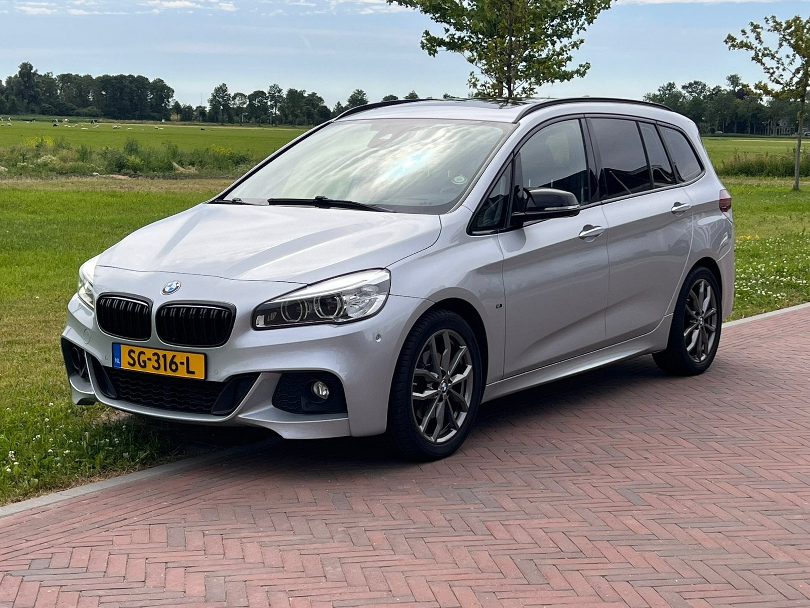 BMW 218i Gran Tourer 136pk Aut 5p.High Executive M-Sport, Auto's, BMW, 136 pk, Zwart, 2-Serie Gran Tourer, 75 €/maand
