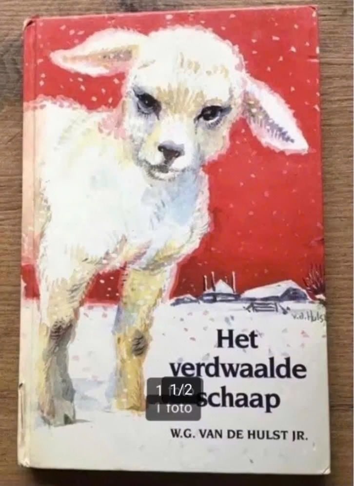 Het verdwaalde schaap door W.G.van de Hulst Jr., Ophalen of Verzenden, Gelezen, Fictie algemeen