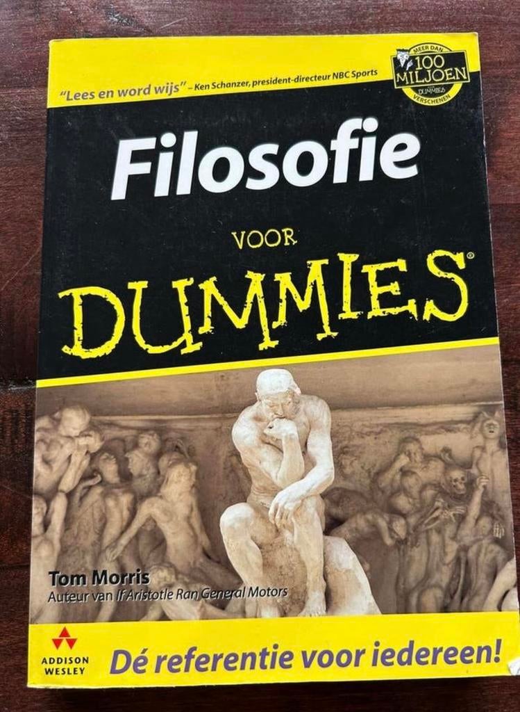 Filosofie voor Dummies - Tom Morris, Boeken, Ophalen of Verzenden, Zo goed als nieuw, Algemeen