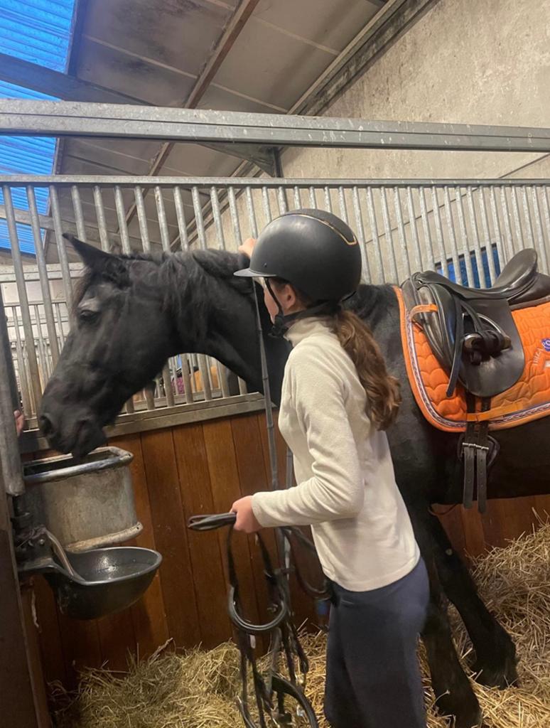 verzorger/bijrijder aangeboden/verzorgpony gezocht, Ophalen of Verzenden, Nieuw