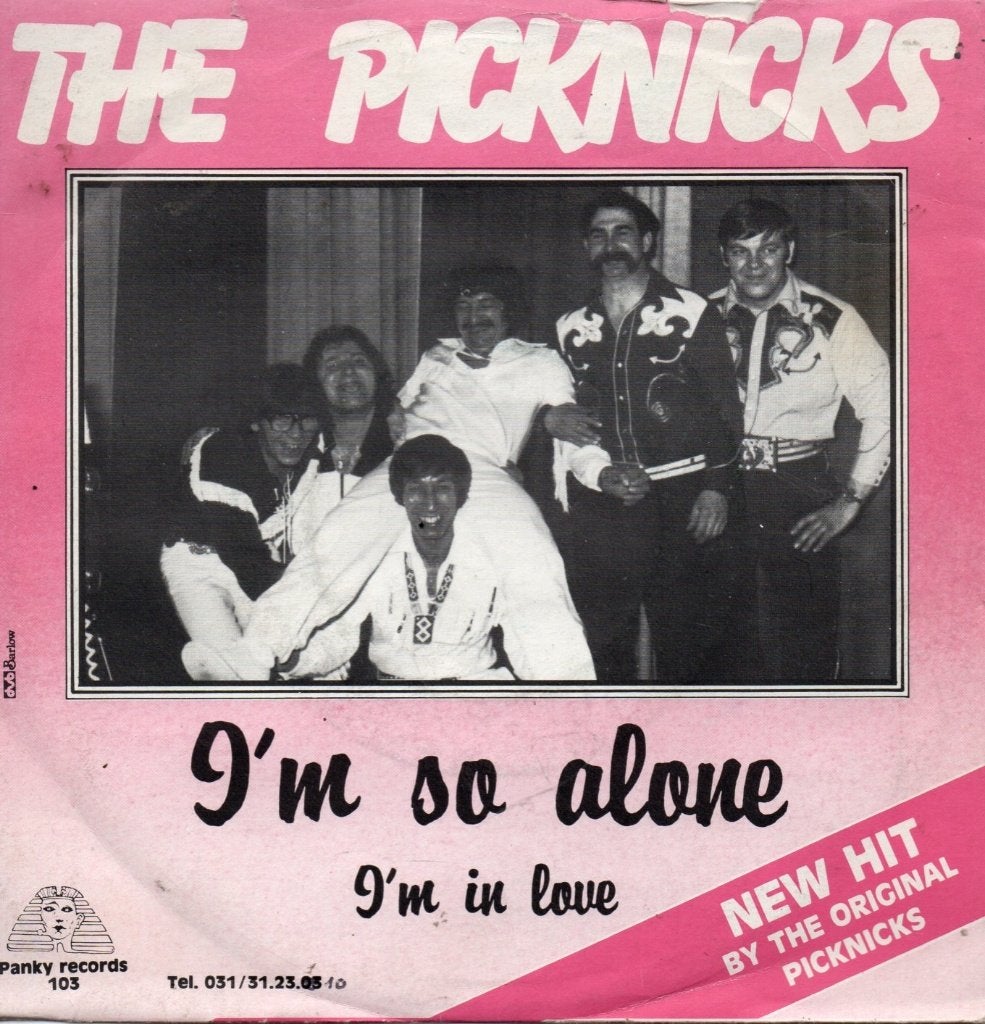 the picknicks, Cd's en Dvd's, 7 inch, Single, Ophalen of Verzenden, Zo goed als nieuw