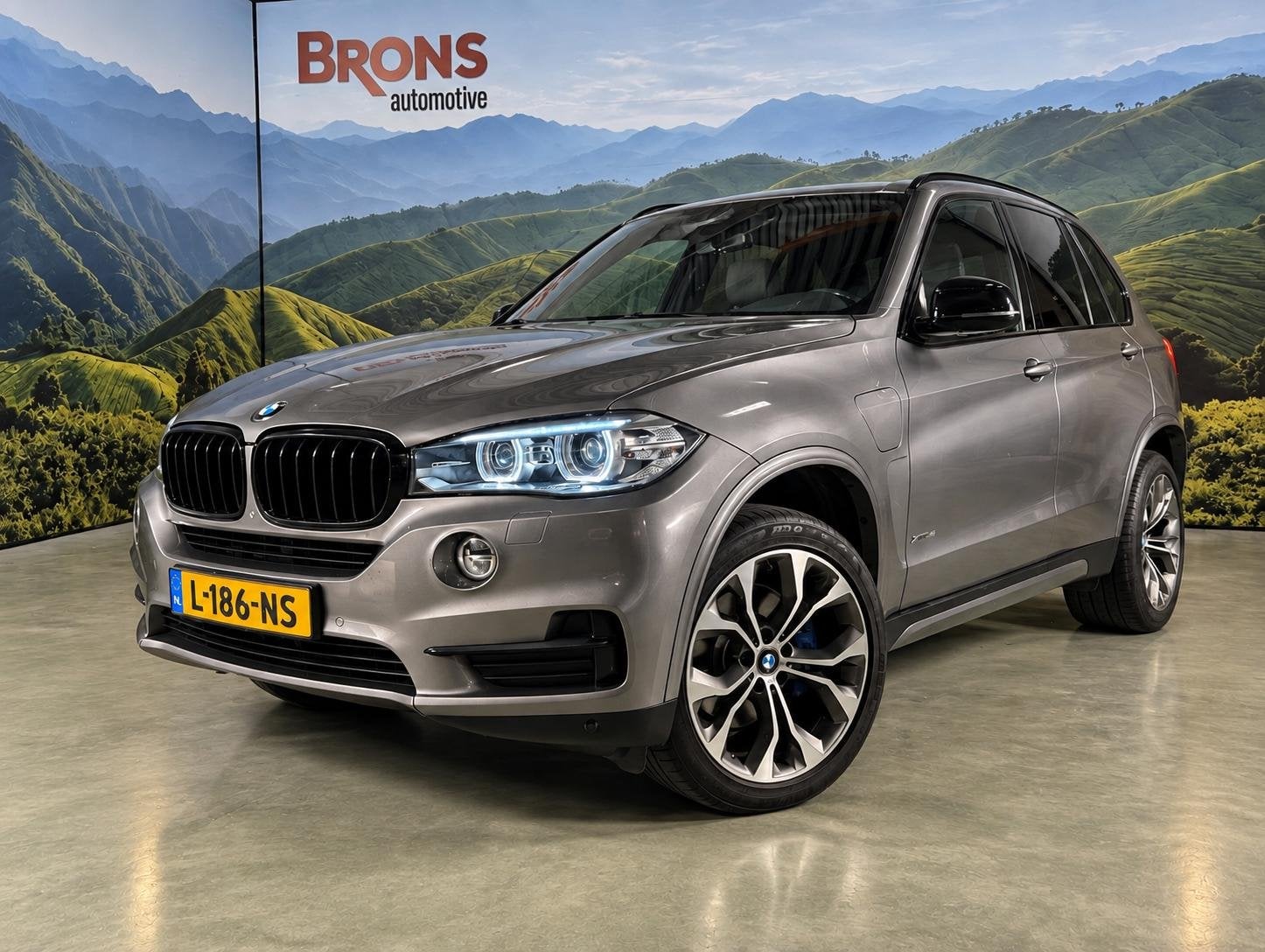 BMW X5 xDrive iPerformance l Pano l SOH 95% l trekhaak l 20, Gebruikt, Bedrijf, Vierwielaandrijving, 313 pk
