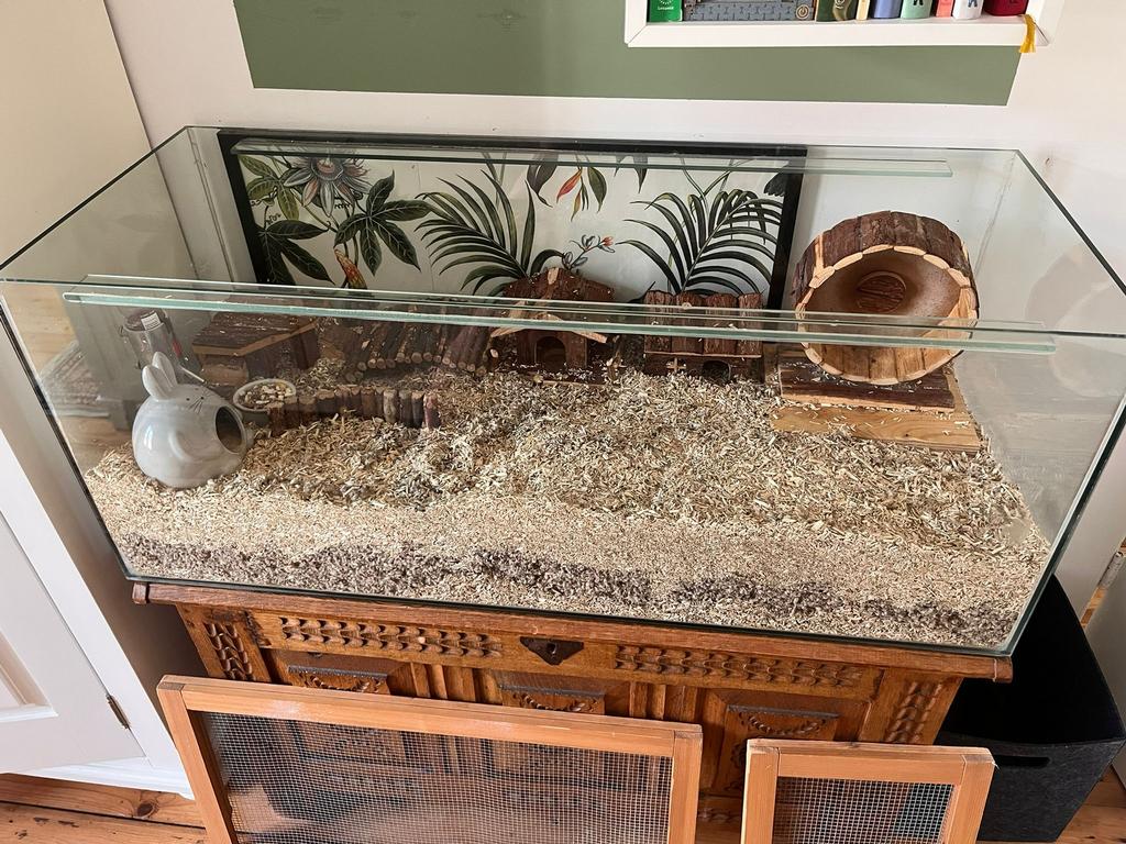 Grote kooi/terrarium voor klein knaagdier bv. dwerghamster, Kooi, Zo goed als nieuw, Muis, 75 tot 110 cm