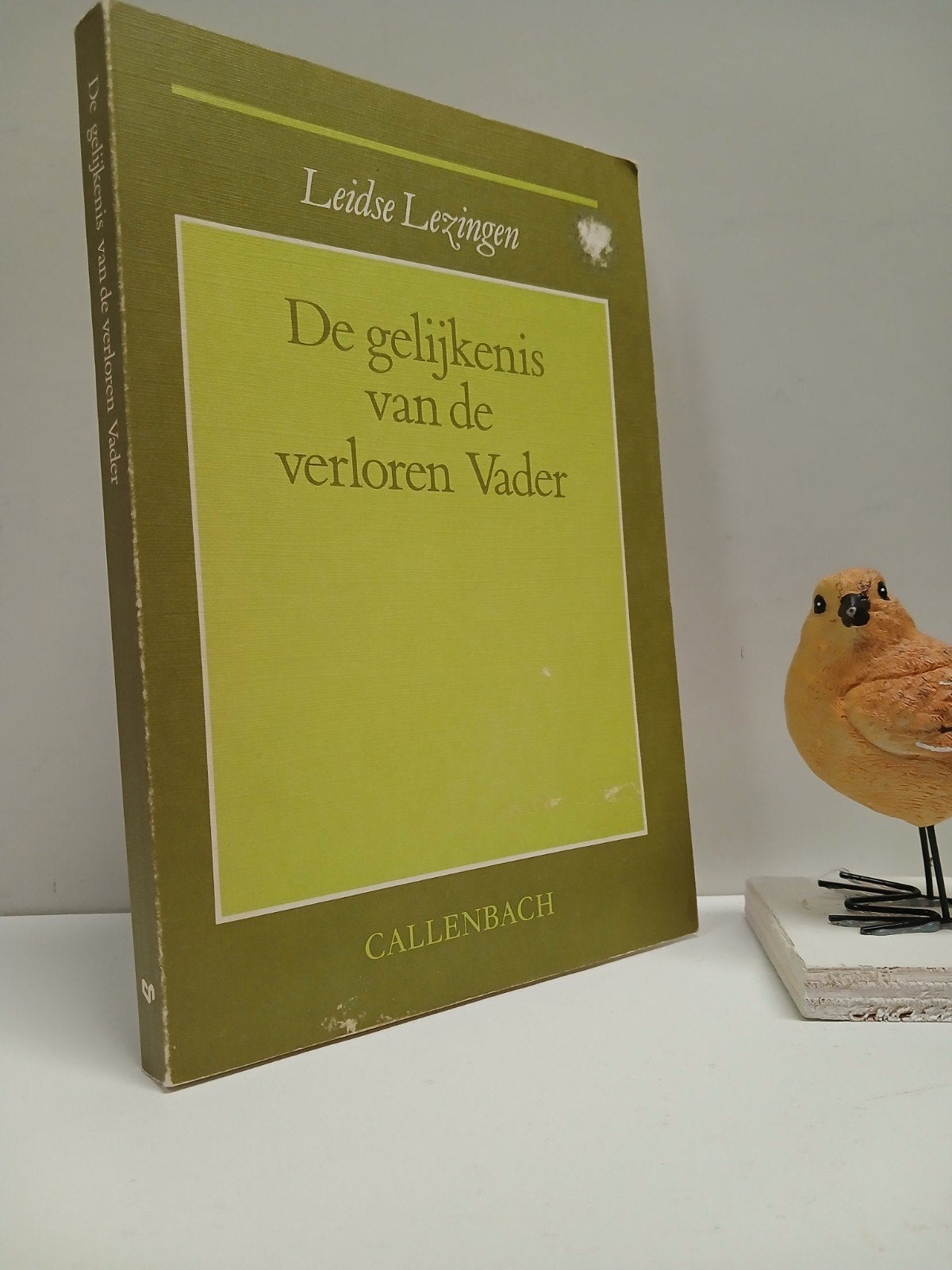 Leidse Lezingen ;  De gelijkenis van de verloren Vader, Ophalen of Verzenden, Gelezen, Christendom | Protestants
